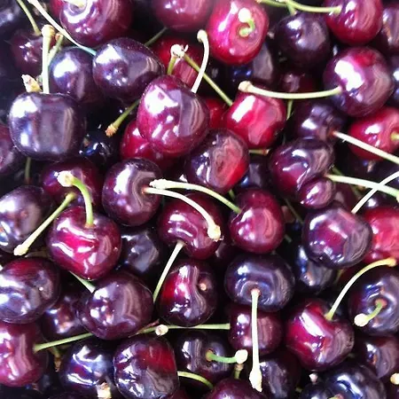 Mas De L'ilon Couette-café Vallabrègues