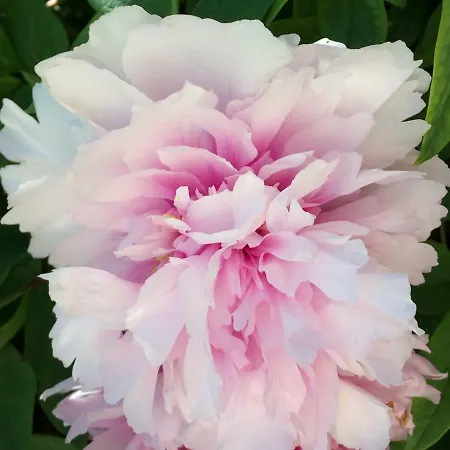 Mas De L'ilon Couette-café *